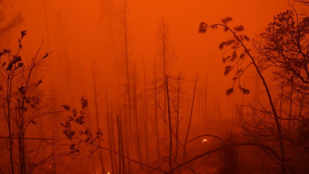 talibani schimbari climatice abdul qahar balkhi