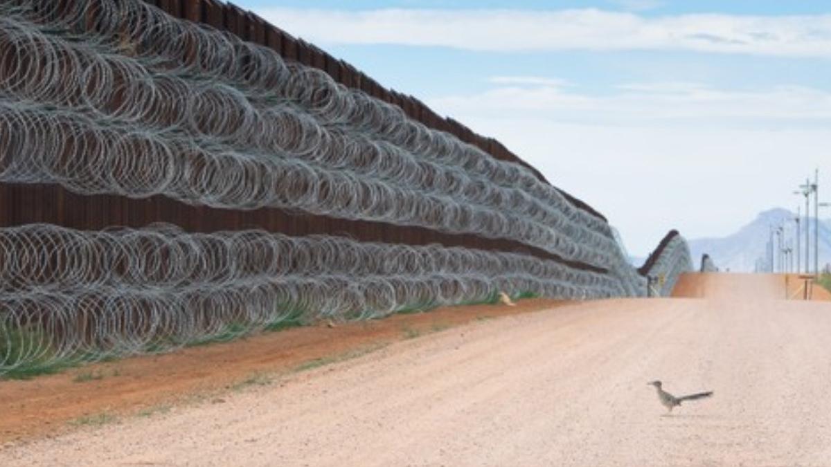 imaginea a castigat cel mai prestigios concurs foto din lume fotograful a ales realitate trista