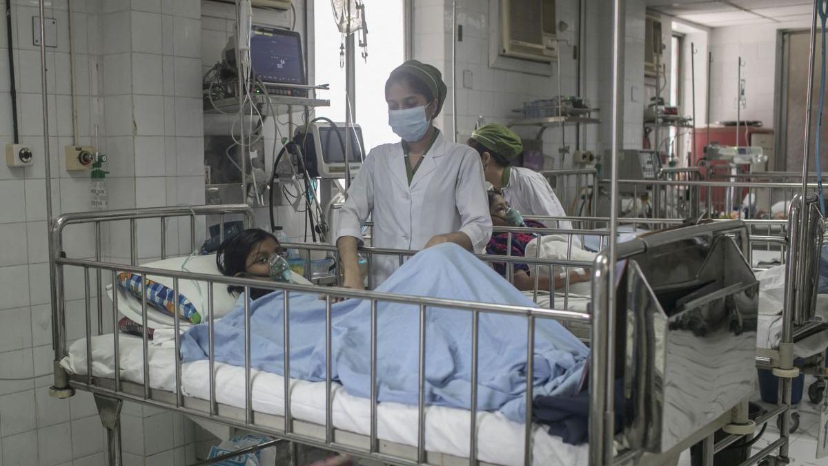 india uttar pradesh febra copii dengue tifos leptospiroza