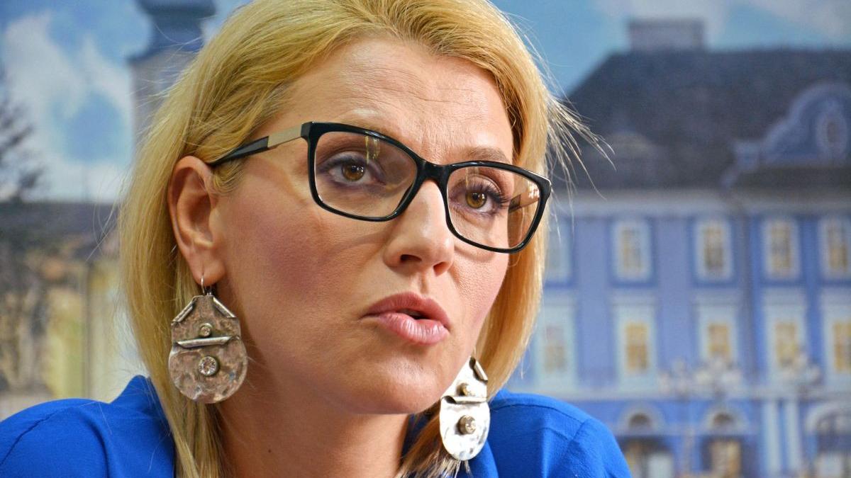 alina gorghiu motiune urs ineptie marca psd