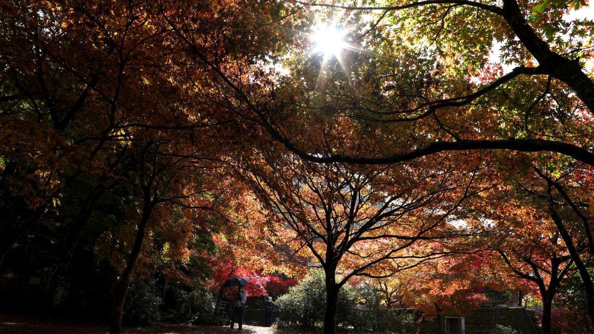 prognoza meteo 2 septembrie 2021 vreme racoroasa