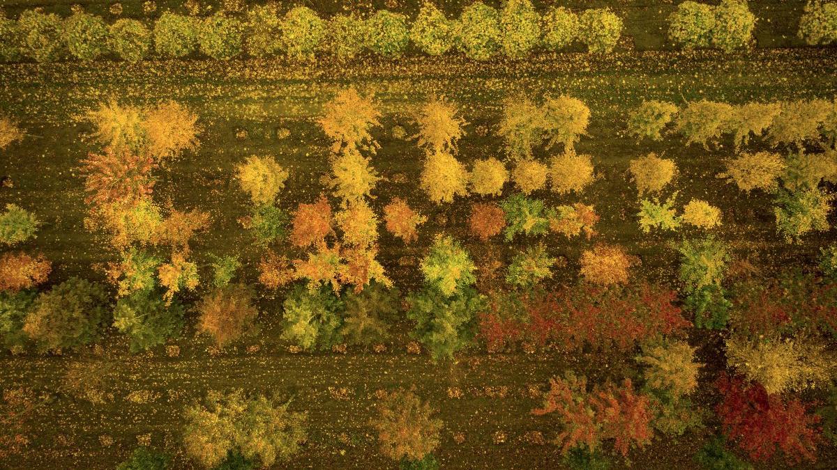 prognoza meteo 6 septembrie 4 octombrie 2021