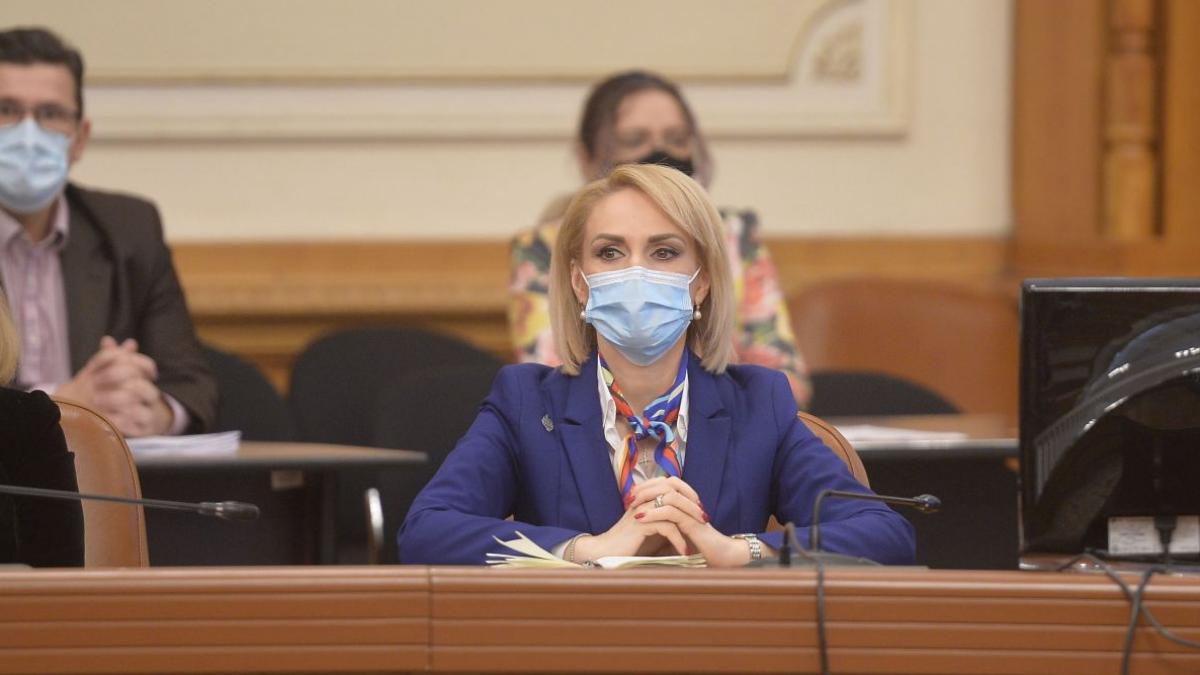 gabriela firea salariu minim pe economie