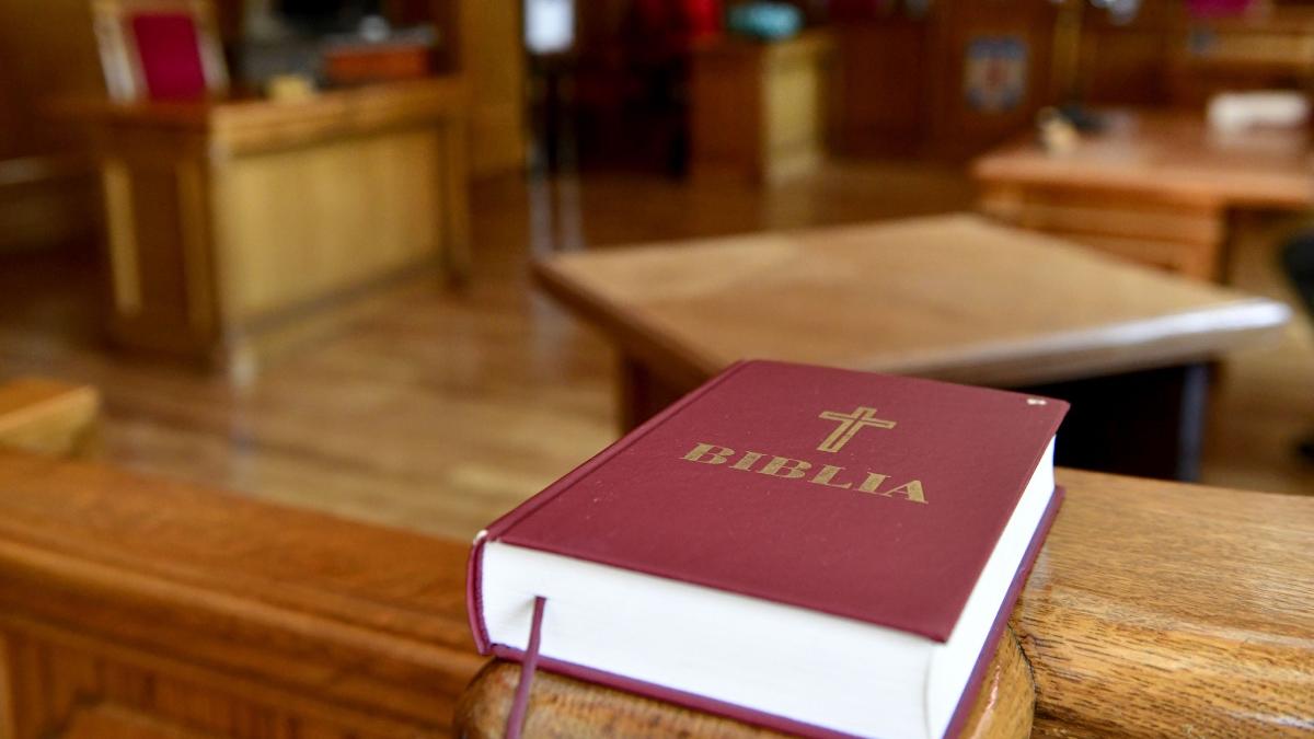 primarita cu aproape 900 de spagi primite iertata de magistrati