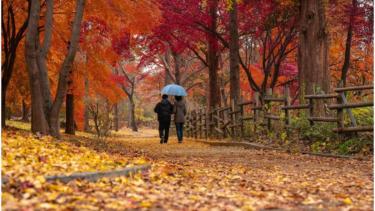 prognoza meteo 6 septembrie 4 octombrie 2021 vremea