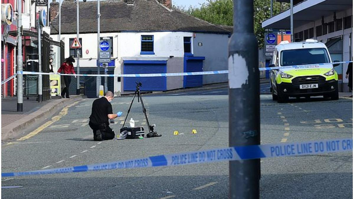 barbati raniti viol anglia