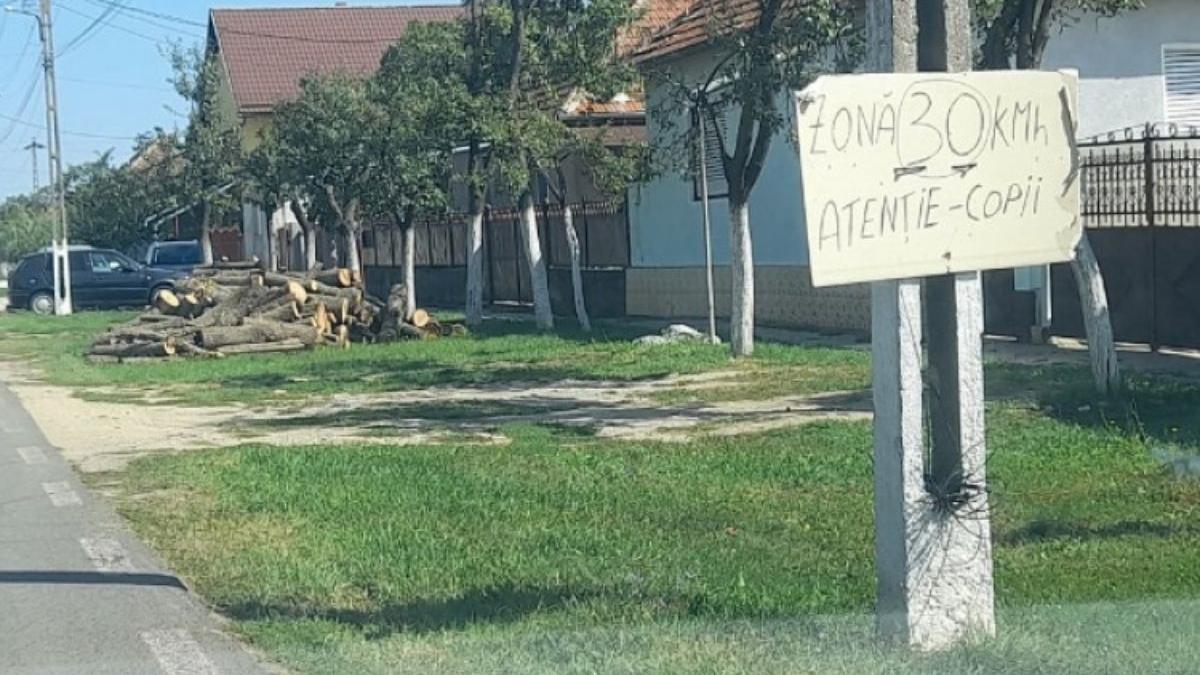 oameni sat galsa arad indicatoare panouri carton