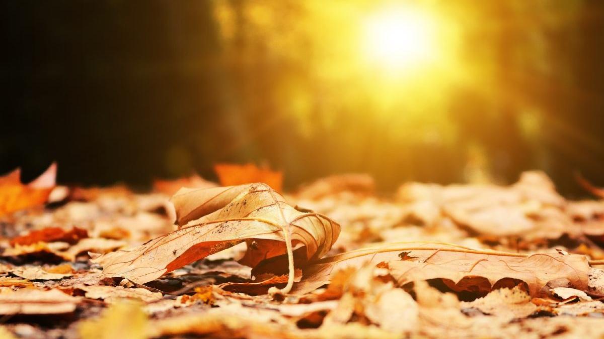 prognoza meteo 9 12 septembrie 2021