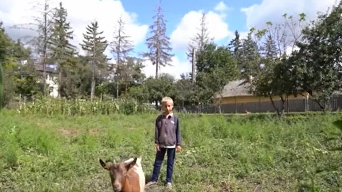 mii de copii din romania isi castiga banii de scoala