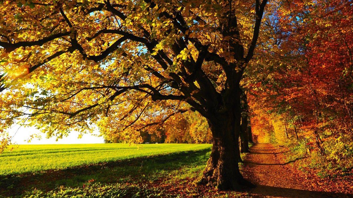 temperaturi de vara la inceput de toamna 12 septembrie