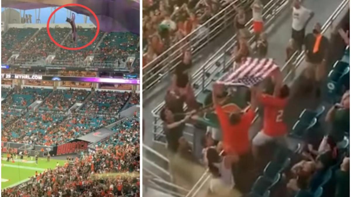 pisica salvata steag stadion