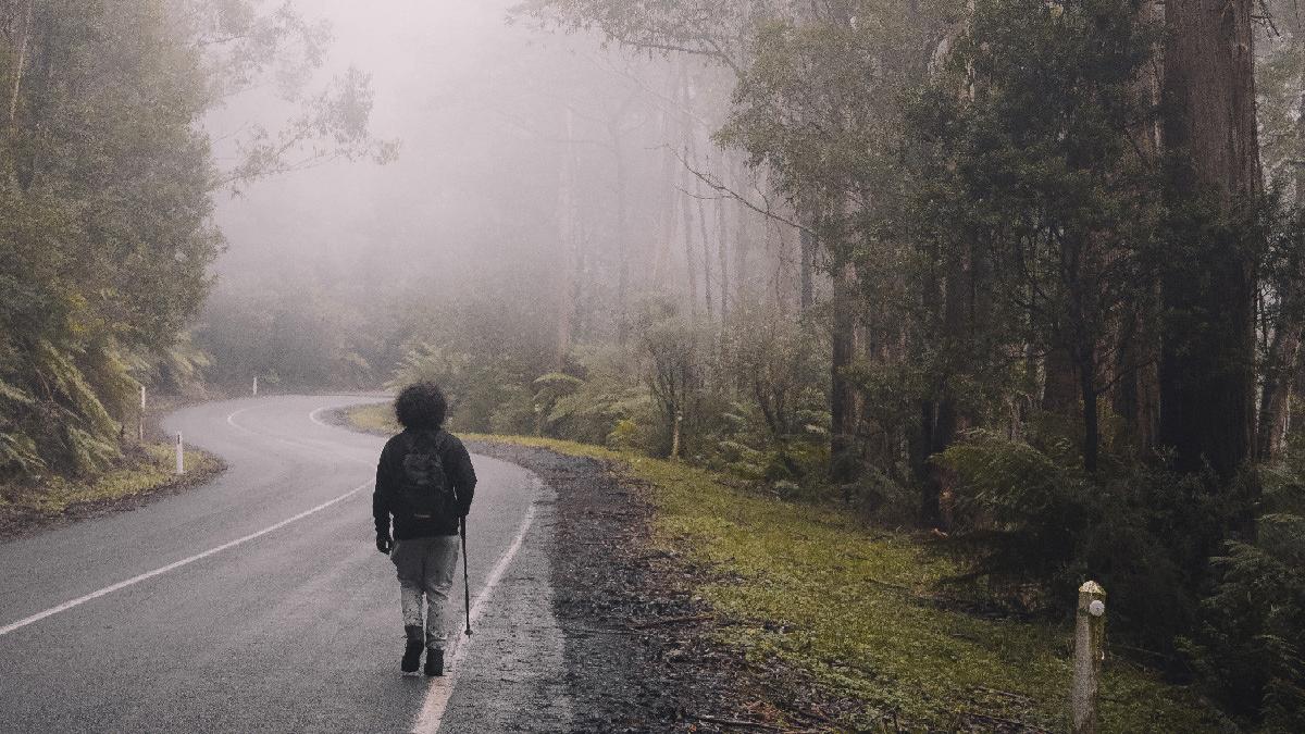 tanar disparut padurea pustnicu cautare politisti sts