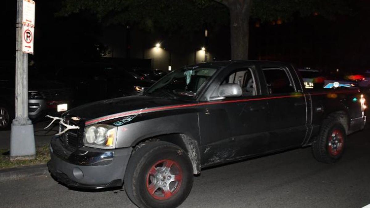 washington maceta zvastica maceta donald craighead comitetul national democrat