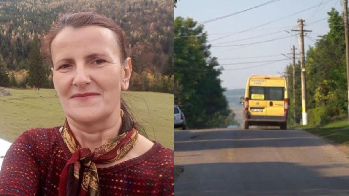 directoare scoala mitoc botosani categoria d permis conducere microbuz scolar