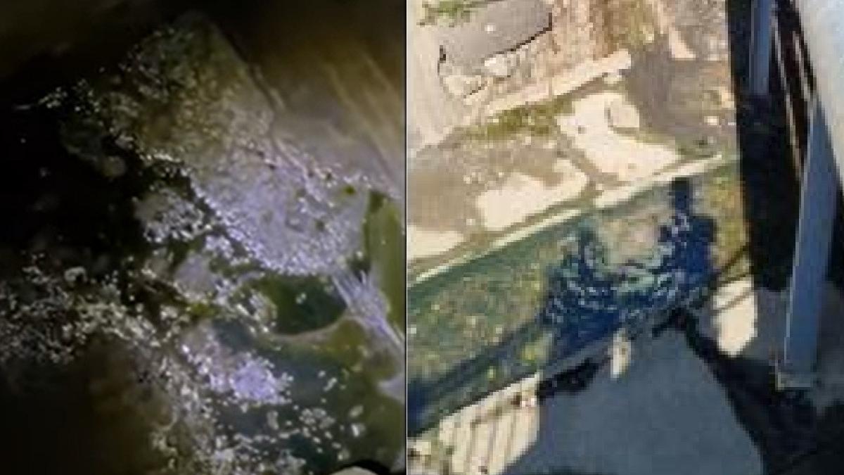 turistii statiune baneara baile felix poluare produse petroliere apel 112