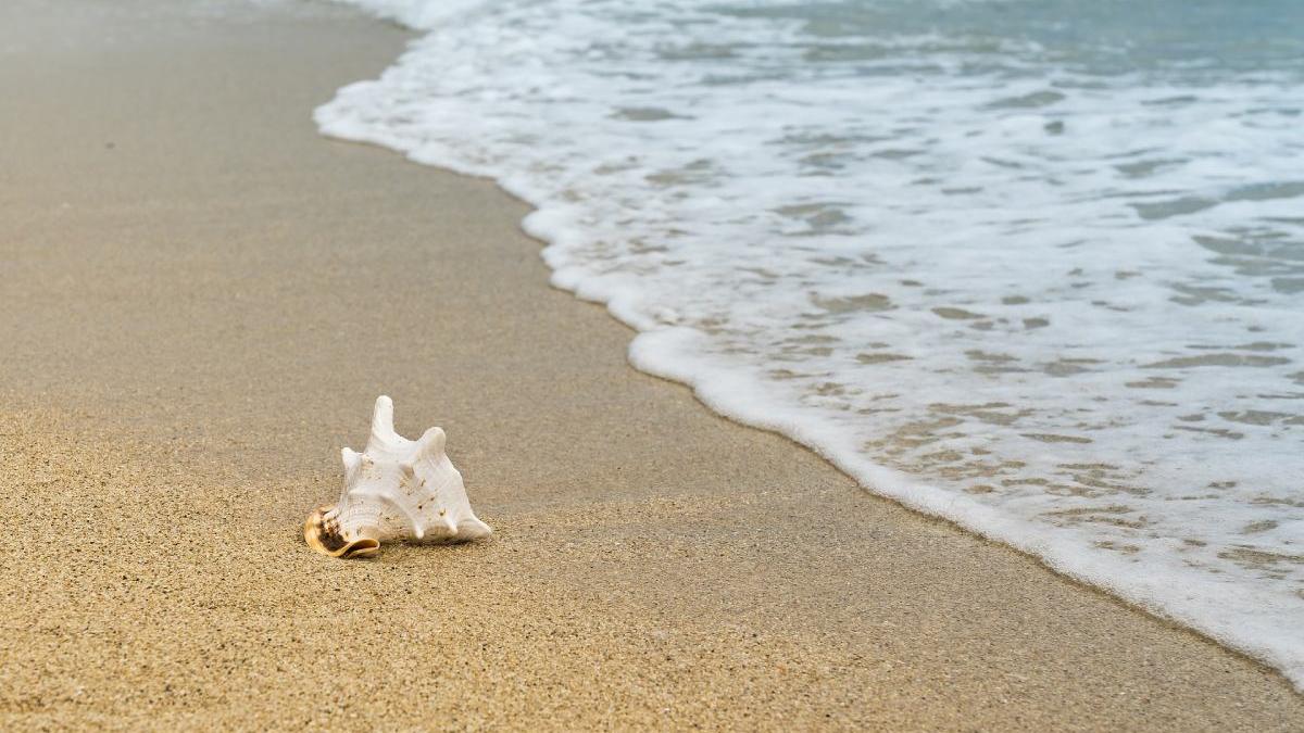 amenajare complexa plaje largite mamaia facilitati beneficia turisti anul viitor