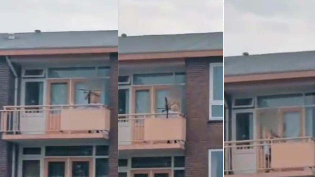 almelo olanda arbaleta atac morti