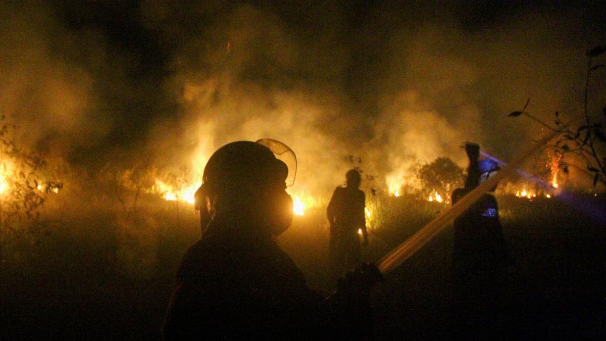 raport onu reducerea emisiilor neutralitatea carbonului guterres biden metan cop26