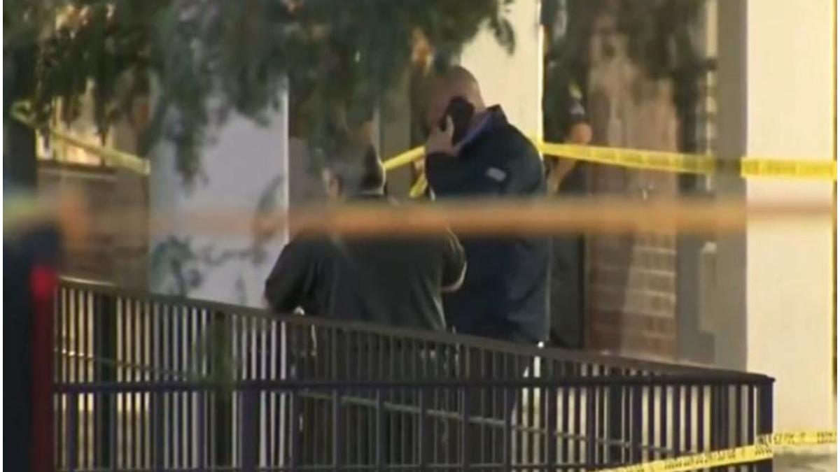 barbat a murit sinucigas new york