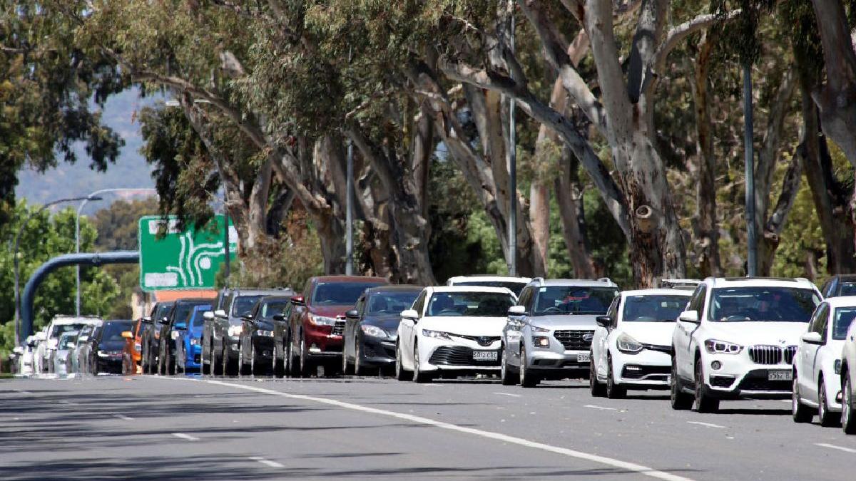 faliment city insurance polite rca reparatii masina service fond de garantare