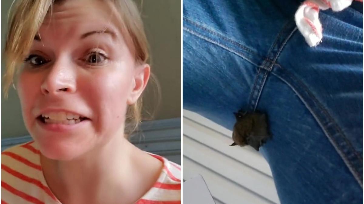 femeie liliac pantaloni