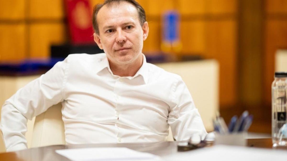 florin citu grup lucru activisti mediu jurnalisti batuti