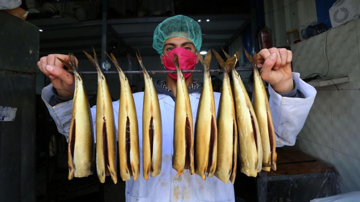 peste sintetic obtinut culturi celulare