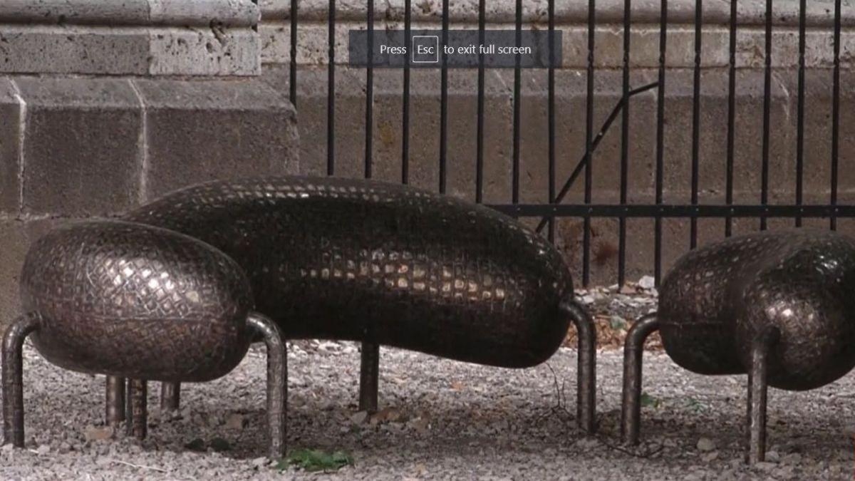 banci in forma de rinichi in curtea bisericii negre din brasov