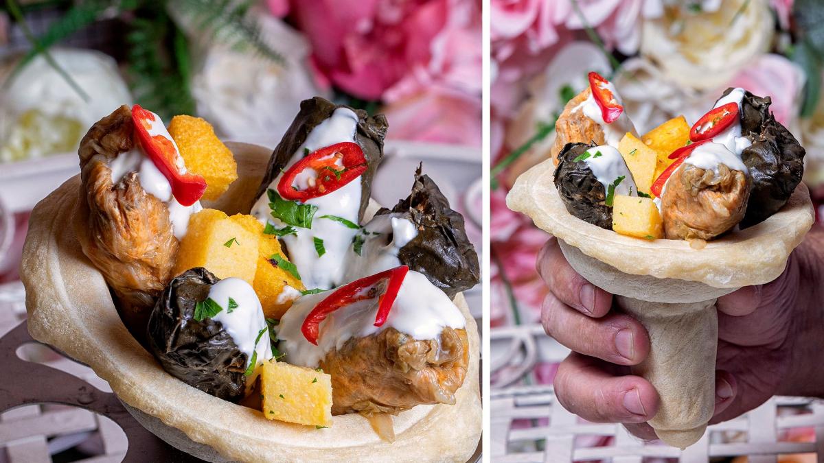 cinci sarmale cornet concept iasi tanar student afaceri antreprenoriat