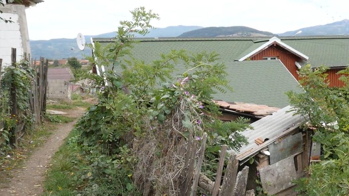 copil 10 ani alba violat barbat