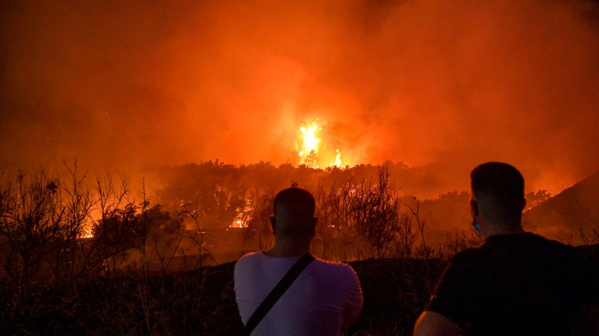 grecia pedepse incendiatori agresori