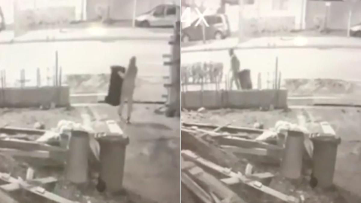 hot baia mare surprins pe camere cand fura pubele cu gunoi proprietarul 500 lei recompensa