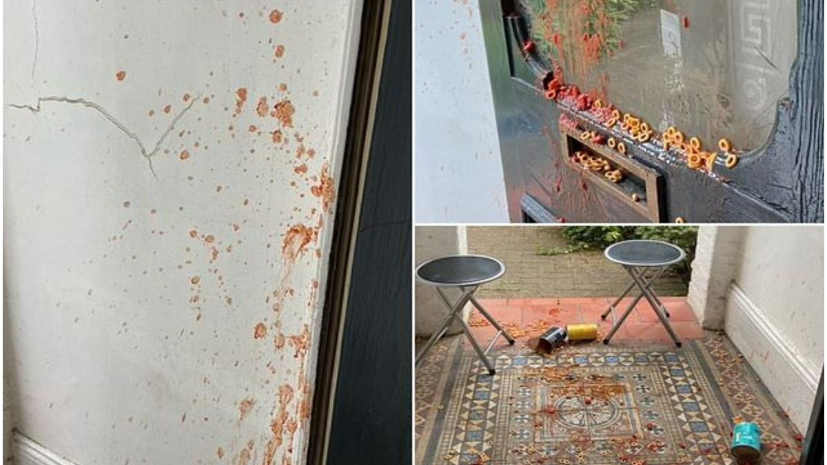 cutii fasole trend tiktok