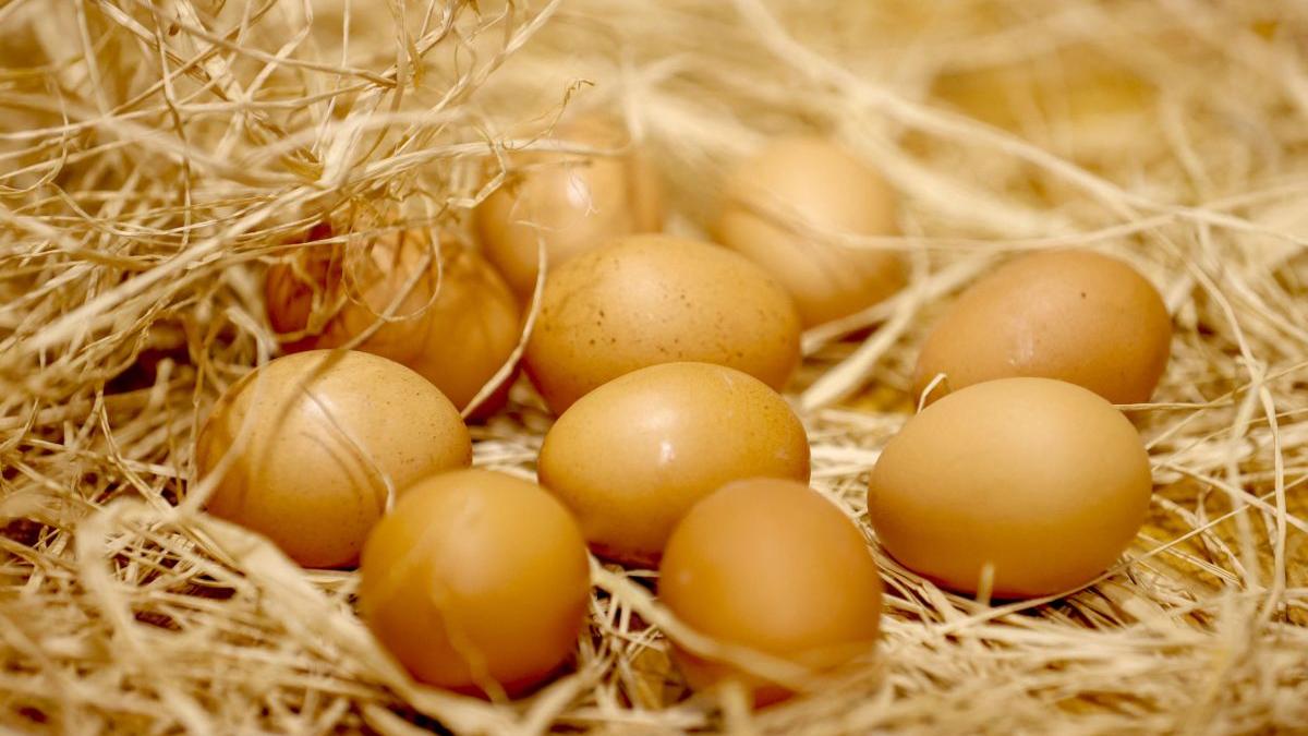 scumpire oua criza alimentara