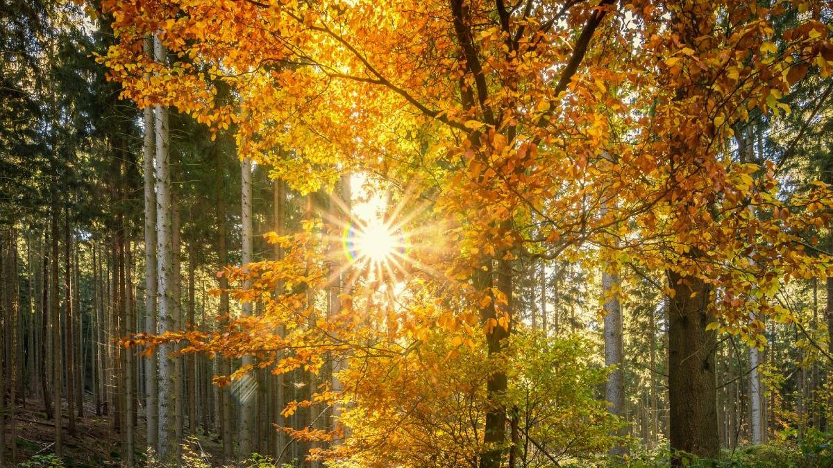 prognoza meteo 4 5 octombrie 2021