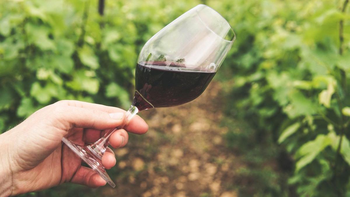 ziua nationala a gastronomiei si a vinului romanesc regal culinar