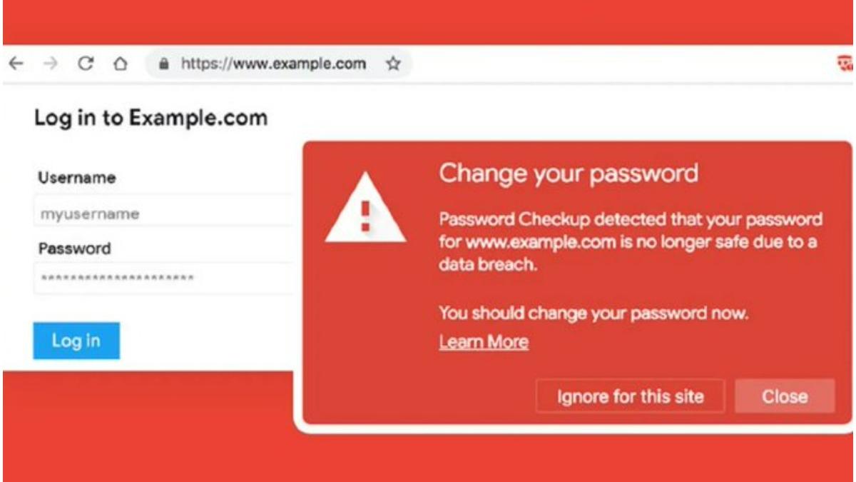 google parole sparte