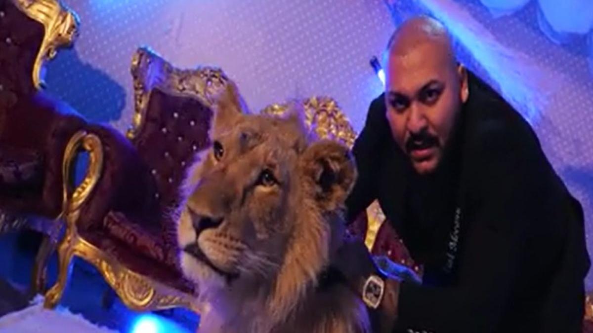 leu manelist dai mocanu salvat activisti dus olanda