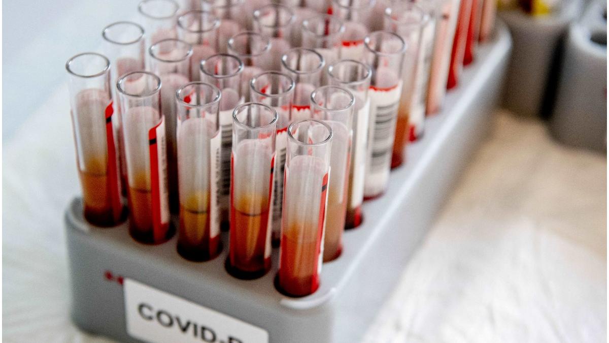 oms previziuni sumbre pandemie