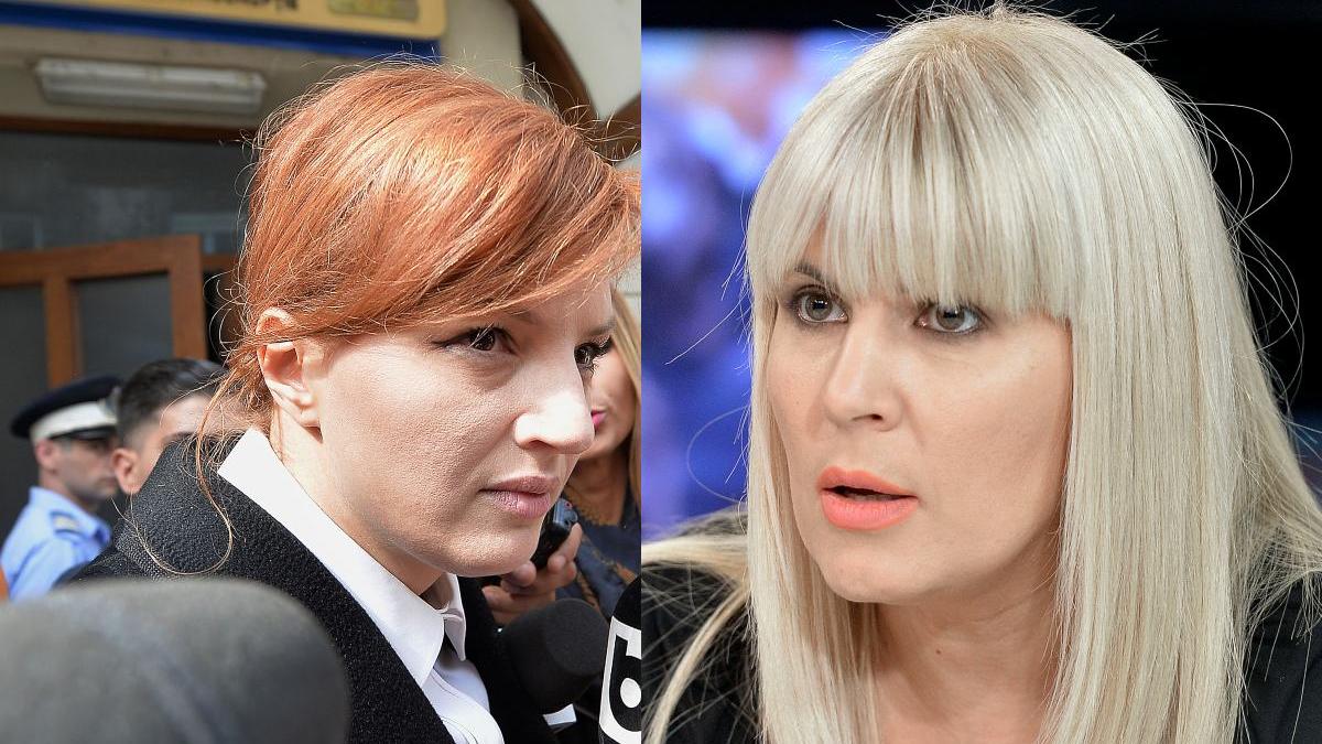 elena udrea ioana basescu ultima sansa scape inchisoare