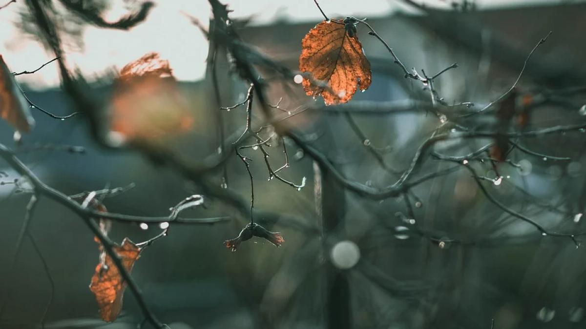 prognoza meteo 8 11 octombrie 2021