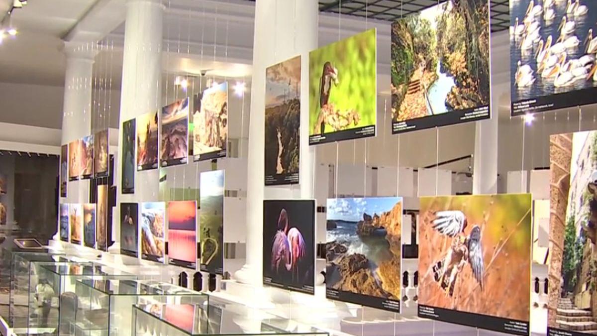 israel expozitie fotografica david saranga