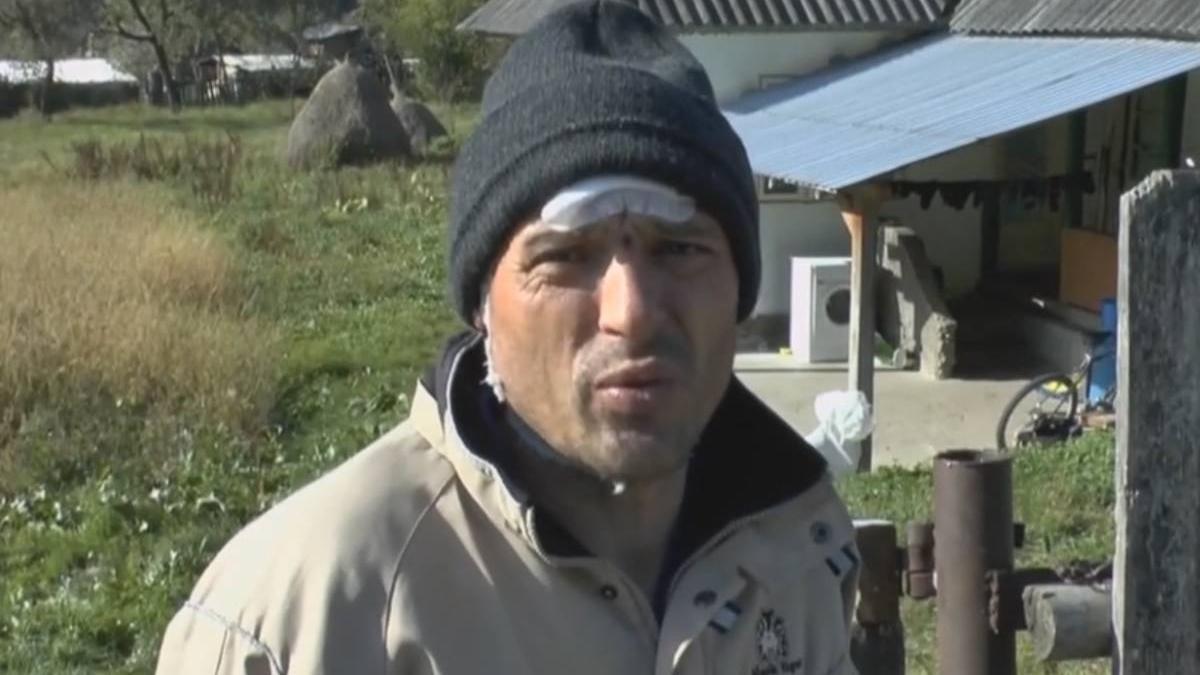 barbat neamt atacat trei ursi scapat cateva zgarieturi intamplare salvat viata