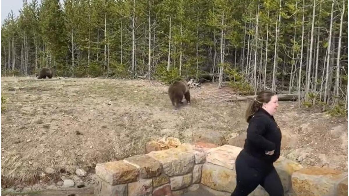 pedeapsa inchisoare femeie apropiere urs