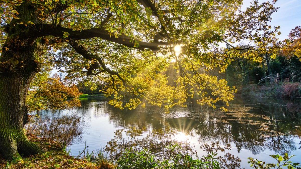 prognoza meteo 11 24 octombrie 2021 vreme calda