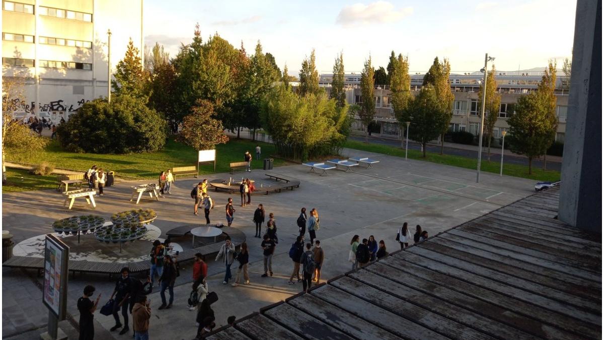 focuri arma universitate spania
