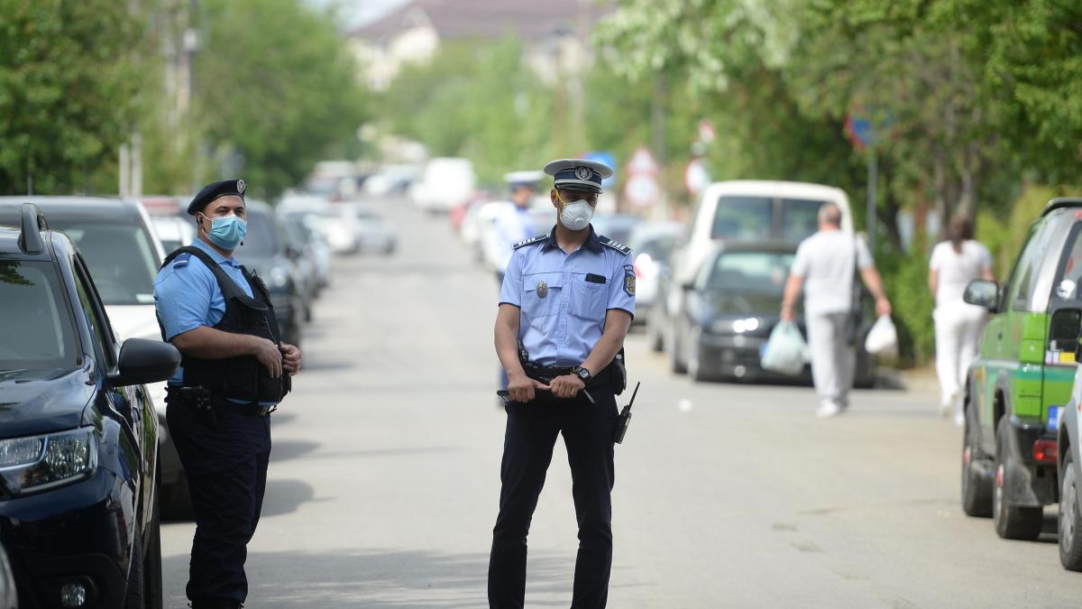 ilfov carantina rata infectare 15