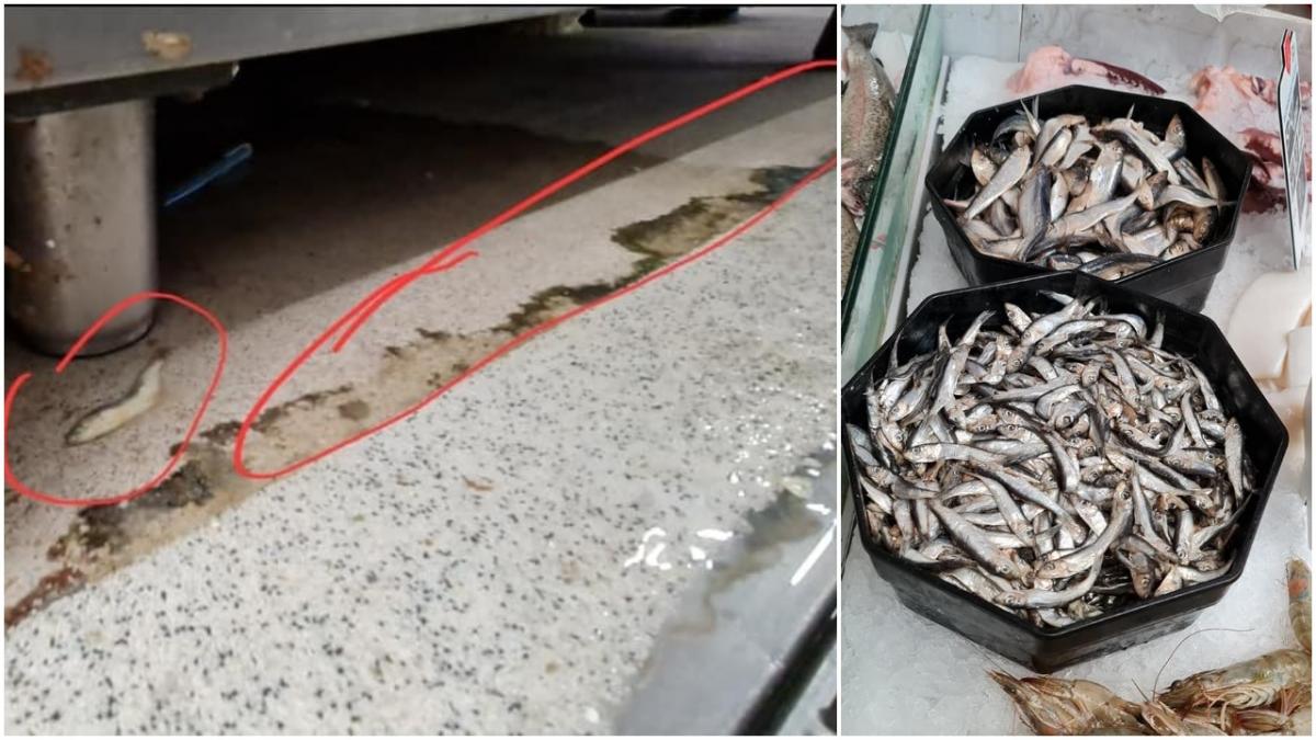 pesti vii oferiti spre vanzare tinuti in apa murdara a unor bazine ruginite supermarketul a primit