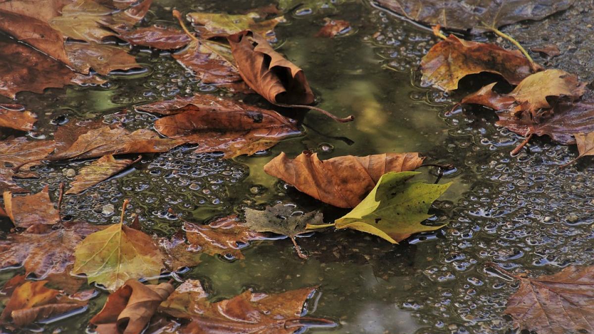 prognoza meteo 14 17 octombrie 2021