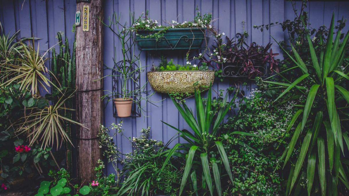 cand bagam ghivecele cu flori in casa toamna